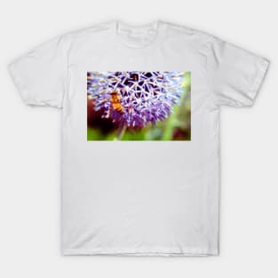 Bee On Small Globe Thistle 3 T-Shirt